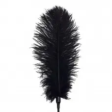 Щекоталка со страусиным пером Art of Sex - Feather Tickler, цвет Черный