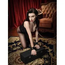 Роскошный ошейник с поводком Zalo Collar & Leash Set Black, натуральная кожа