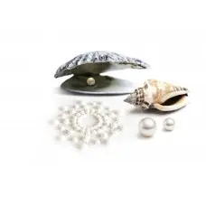 Пэстис из кристаллов Bijoux Indiscrets - Mimi Pearl, украшение на грудь