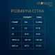 Бодістокінг з доступом Moonlight Model 14 XS-L Black, малюнок боді та панчіх на підв’язках