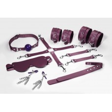 Набір Feral Feelings BDSM Kit 7 Burgundy, наручники, поножі, конектор, маска, падл, кляп, затискачі