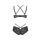 Комплект Passion DROSERA BIKINI black S/M - ECO Passion