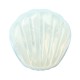 Стимулятор для эрогенных зон IROHA Petit - Shell