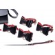 Набор БДСМ с дорожной сумкой Master Series: Bow — Luxury BDSM Set With Travel Bag, 11 предметов