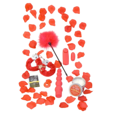 Toy Joy Red Romance Red Romance Gift Set - Набір для романтики
